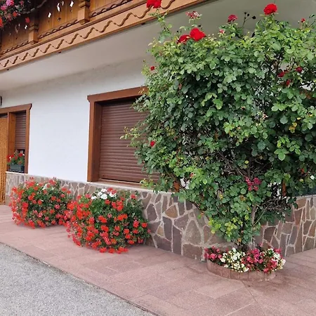Panoramico 1 *